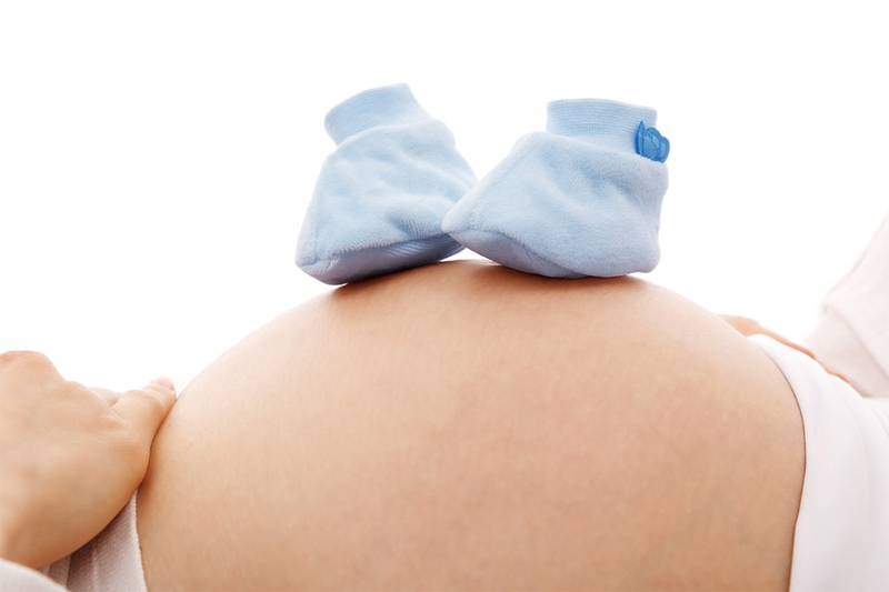 임산부 영양관리 방법