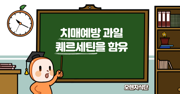 치매예방 과일 퀘르세틴을 함유