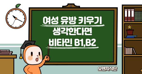 여성 유방 키우기 생각한다면 비타민 B1,B2