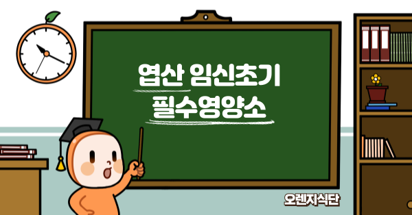 엽산 임신초기 필수영양소