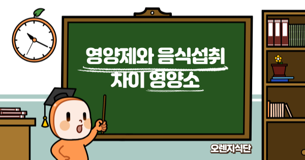 영양제와 음식섭취 차이 영양소