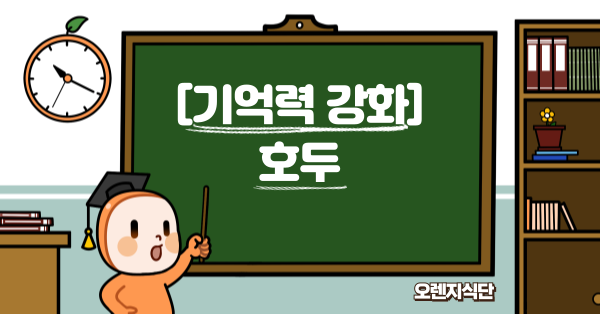 [기억력 강화] 호두