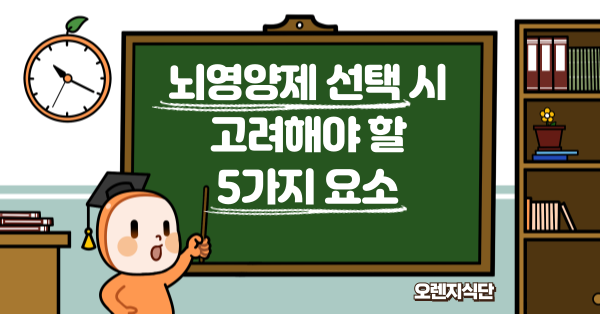 뇌영양제 선택 시 고려해야 할 5가지 요소