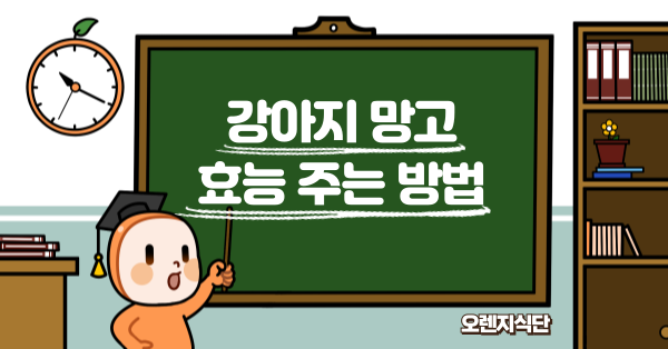 강아지 망고 효능 주는 방법