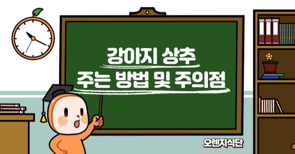 강아지 상추 주는 방법 및 주의점