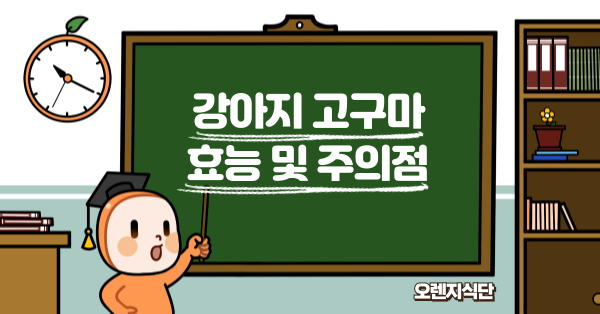 강아지 고구마 효능 및 주의점