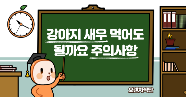 강아지 새우 먹어도 될까요 주의사항