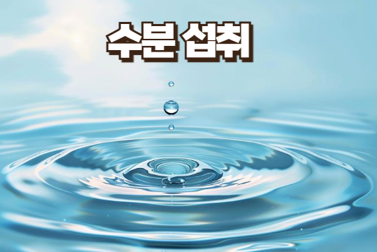 수분섭취