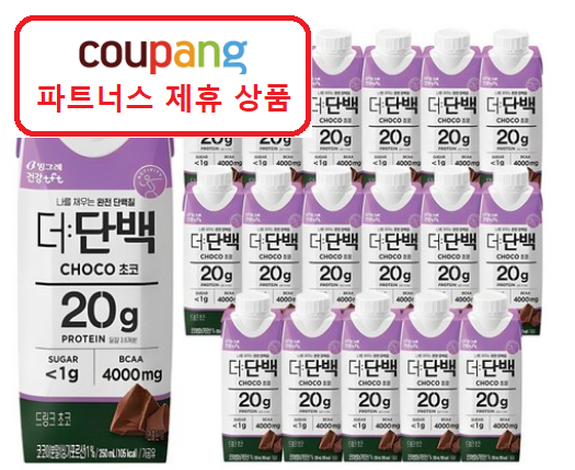 초코더단백